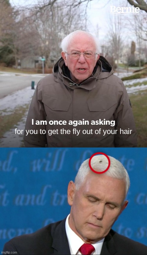 mike pence | for you to get the fly out of your hair | image tagged in memes,bernie i am once again asking for your support | made w/ Imgflip meme maker
