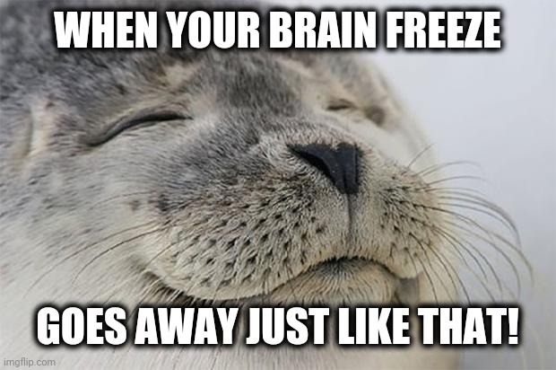 Satisfied Seal Meme | WHEN YOUR BRAIN FREEZE GOES AWAY JUST LIKE THAT! | image tagged in memes,satisfied seal | made w/ Imgflip meme maker