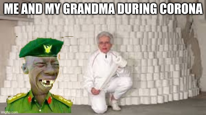 toilet paper | ME AND MY GRANDMA DURING CORONA | image tagged in funny,funny memes,funny meme,toilet paper | made w/ Imgflip meme maker