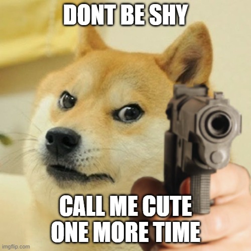 Doge holding a gun | DONT BE SHY; CALL ME CUTE ONE MORE TIME | image tagged in doge holding a gun | made w/ Imgflip meme maker