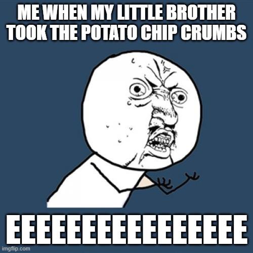Y U No Meme | ME WHEN MY LITTLE BROTHER TOOK THE POTATO CHIP CRUMBS; EEEEEEEEEEEEEEEE | image tagged in memes,y u no | made w/ Imgflip meme maker