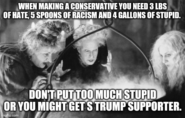 How to make s trumpie | WHEN MAKING A CONSERVATIVE YOU NEED 3 LBS OF HATE, 5 SPOONS OF RACISM AND 4 GALLONS OF STUPID. DON'T PUT TOO MUCH STUPID OR YOU MIGHT GET S TRUMP SUPPORTER. | image tagged in trump supporters,conservatives,joe biden,donald trump,maga,election 2020 | made w/ Imgflip meme maker