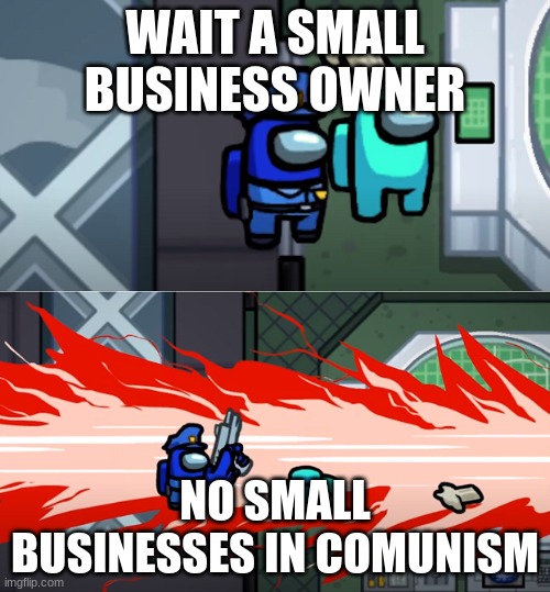 among us kill | WAIT A SMALL BUSINESS OWNER; NO SMALL BUSINESSES IN COMUNISM | image tagged in among us kill | made w/ Imgflip meme maker