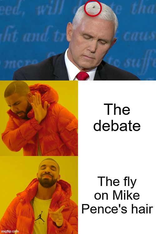 The fly that took the internet | The debate; The fly on Mike Pence's hair | image tagged in memes,drake hotline bling | made w/ Imgflip meme maker