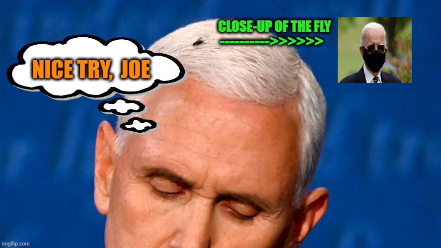 Ready for his Close-Up | ---------->>>>>>; CLOSE-UP OF THE FLY; NICE TRY,  JOE | image tagged in mike pence,joe biden,the fly,vice presidential debate | made w/ Imgflip meme maker