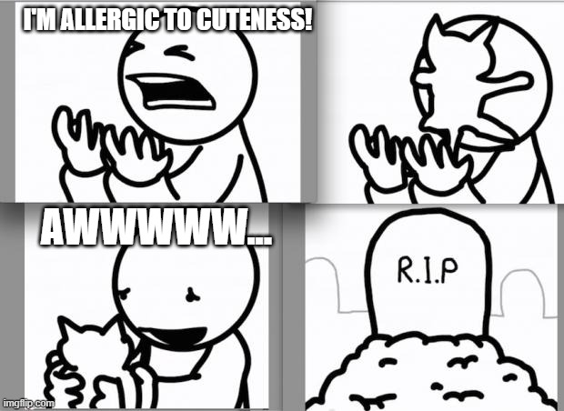 This is already a youtube video, so I made it a meme | I'M ALLERGIC TO CUTENESS! AWWWWW... | image tagged in asdf kitten | made w/ Imgflip meme maker