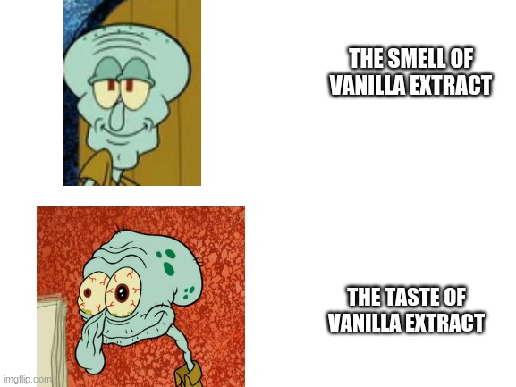 Blank White Template | THE SMELL OF VANILLA EXTRACT; THE TASTE OF VANILLA EXTRACT | image tagged in blank white template | made w/ Imgflip meme maker
