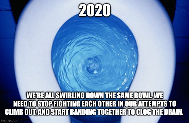 2020 Motivational Quote |  2020; WE’RE ALL SWIRLING DOWN THE SAME BOWL. WE NEED TO STOP FIGHTING EACH OTHER IN OUR ATTEMPTS TO CLIMB OUT, AND START BANDING TOGETHER TO CLOG THE DRAIN. | image tagged in toilet flushing | made w/ Imgflip meme maker