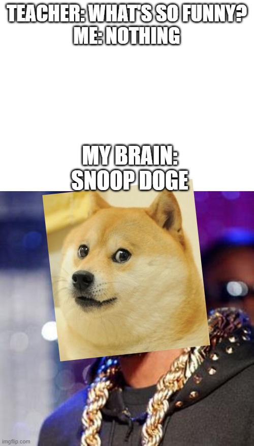 Snoop Doge. (Most people won't get this meme) | TEACHER: WHAT'S SO FUNNY?
ME: NOTHING; MY BRAIN:
SNOOP DOGE | image tagged in snoop dogg,blank white template | made w/ Imgflip meme maker