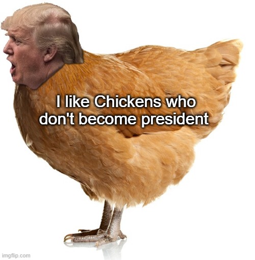 chicken trump | I like Chickens who don't become president | image tagged in chicken trump | made w/ Imgflip meme maker