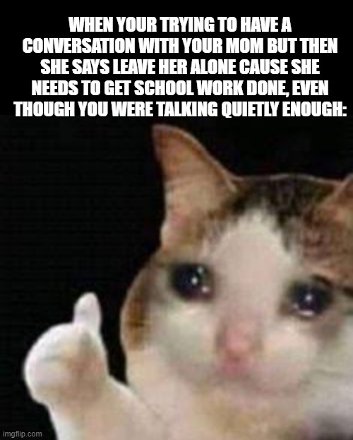 WHEN YOUR TRYING TO HAVE A CONVERSATION WITH YOUR MOM BUT THEN SHE SAYS LEAVE HER ALONE CAUSE SHE NEEDS TO GET SCHOOL WORK DONE, EVEN THOUGH YOU WERE TALKING QUIETLY ENOUGH: | image tagged in approved crying cat | made w/ Imgflip meme maker