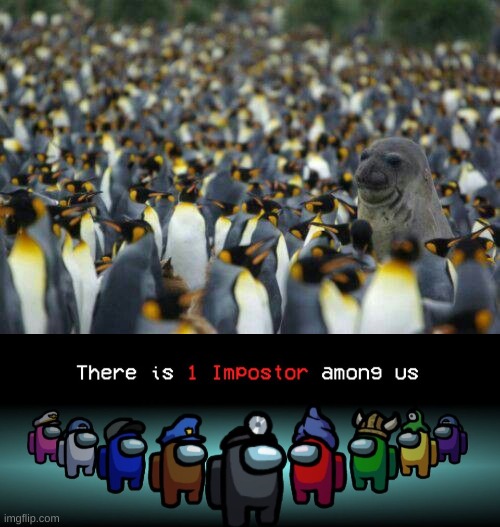 Something seems... off... | image tagged in there is one impostor among us,among us,seal,penguin,penguins | made w/ Imgflip meme maker