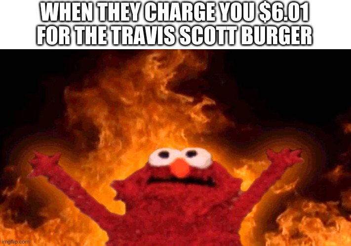 elmo fire | WHEN THEY CHARGE YOU $6.01 FOR THE TRAVIS SCOTT BURGER | image tagged in elmo fire | made w/ Imgflip meme maker