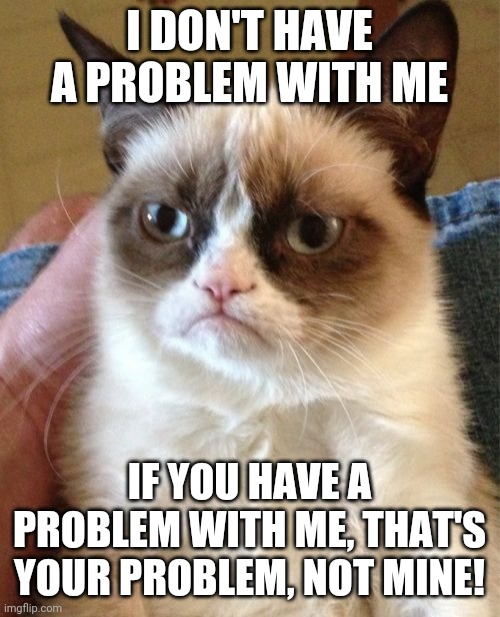 If you have a problem with me, that's your problem, not mine! | I DON'T HAVE A PROBLEM WITH ME; IF YOU HAVE A PROBLEM WITH ME, THAT'S YOUR PROBLEM, NOT MINE! | image tagged in memes,grumpy cat | made w/ Imgflip meme maker