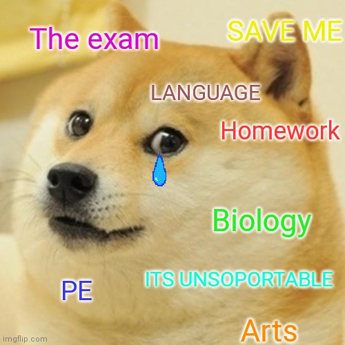 The high school | SAVE ME; The exam; LANGUAGE; Homework; Biology; ITS UNSOPORTABLE; PE; Arts | image tagged in memes,doge | made w/ Imgflip meme maker