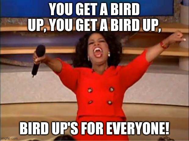 oprah you get a bird up meme | YOU GET A BIRD UP, YOU GET A BIRD UP, BIRD UP'S FOR EVERYONE! | image tagged in memes,oprah you get a | made w/ Imgflip meme maker
