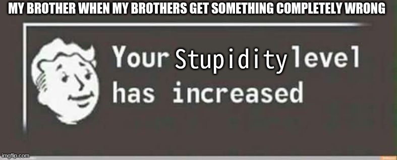 Your level has increased | MY BROTHER WHEN MY BROTHERS GET SOMETHING COMPLETELY WRONG; Stupidity | image tagged in your level has increased | made w/ Imgflip meme maker
