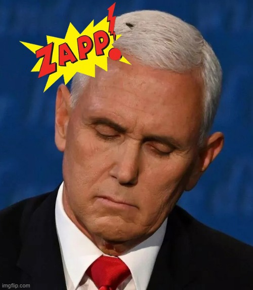 image tagged in mike pence,fly | made w/ Imgflip meme maker