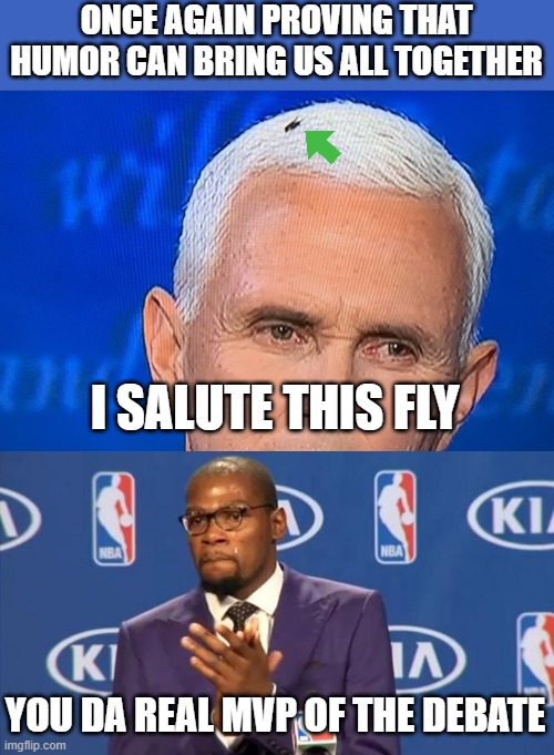 Jokes to be had on the left and the right... | ONCE AGAIN PROVING THAT HUMOR CAN BRING US ALL TOGETHER; I SALUTE THIS FLY; YOU DA REAL MVP OF THE DEBATE | image tagged in memes,you the real mvp,pence fly | made w/ Imgflip meme maker