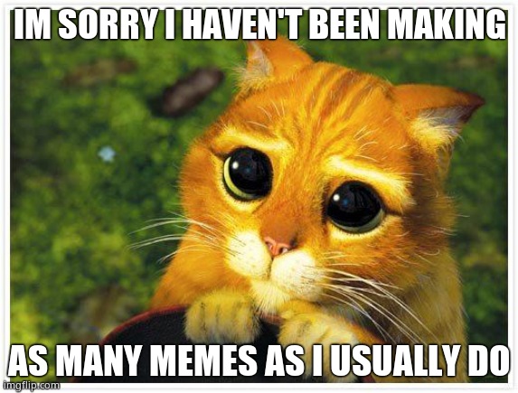 Sorry Kitty | IM SORRY I HAVEN'T BEEN MAKING; AS MANY MEMES AS I USUALLY DO | image tagged in sorry kitty | made w/ Imgflip meme maker