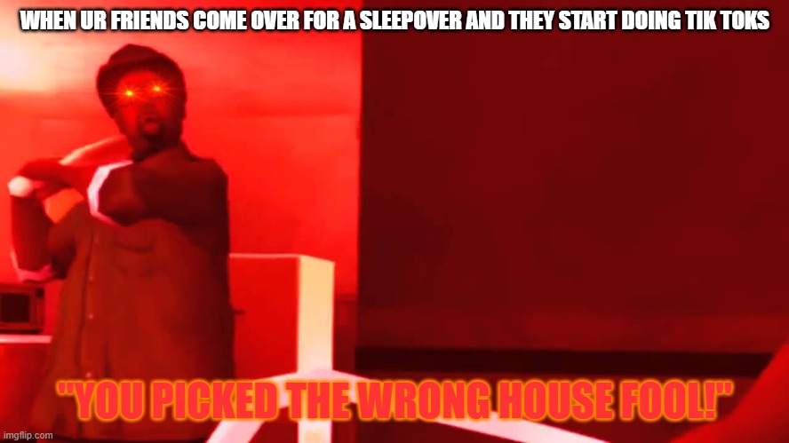 Our Government of tik tok hating must beat the war! dispatch more soldiers!! | WHEN UR FRIENDS COME OVER FOR A SLEEPOVER AND THEY START DOING TIK TOKS; "YOU PICKED THE WRONG HOUSE FOOL!" | image tagged in you picked the wrong house fool | made w/ Imgflip meme maker