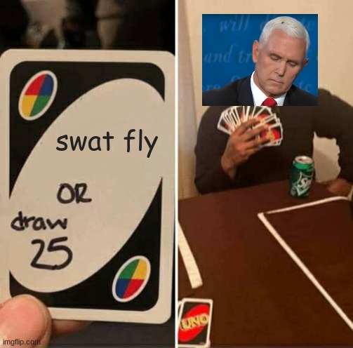 f l y | swat fly | image tagged in memes,uno draw 25 cards | made w/ Imgflip meme maker