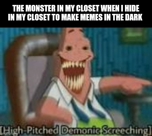 I randomly got here | THE MONSTER IN MY CLOSET WHEN I HIDE IN MY CLOSET TO MAKE MEMES IN THE DARK | image tagged in high-pitched demonic screeching | made w/ Imgflip meme maker