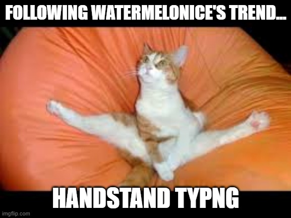 sry about the mess up...i fell onto the keyboard lmao | FOLLOWING WATERMELONICE'S TREND... HANDSTAND TYPNG | image tagged in typing,gymnastics,oof,skills,lmao | made w/ Imgflip meme maker