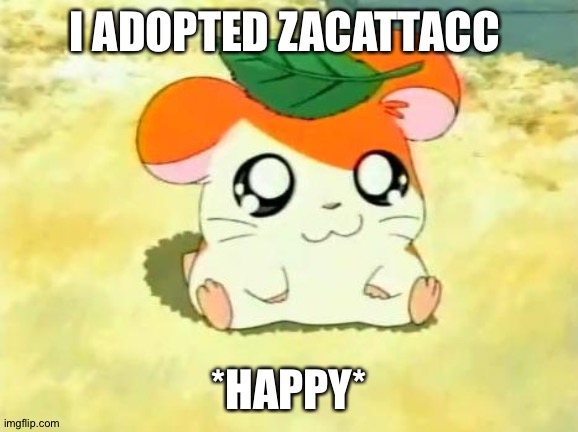 Hamtaro Meme | I ADOPTED ZACATTACC; *HAPPY* | image tagged in memes,hamtaro | made w/ Imgflip meme maker