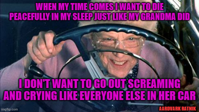 Driving away | WHEN MY TIME COMES I WANT TO DIE PEACEFULLY IN MY SLEEP JUST LIKE MY GRANDMA DID; I DON'T WANT TO GO OUT SCREAMING AND CRYING LIKE EVERYONE ELSE IN HER CAR; AARDVARK RATNIK | image tagged in funny memes,grandma,die | made w/ Imgflip meme maker