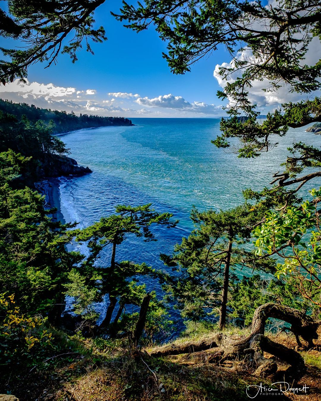 Deception Pass State Park Blank Meme Template