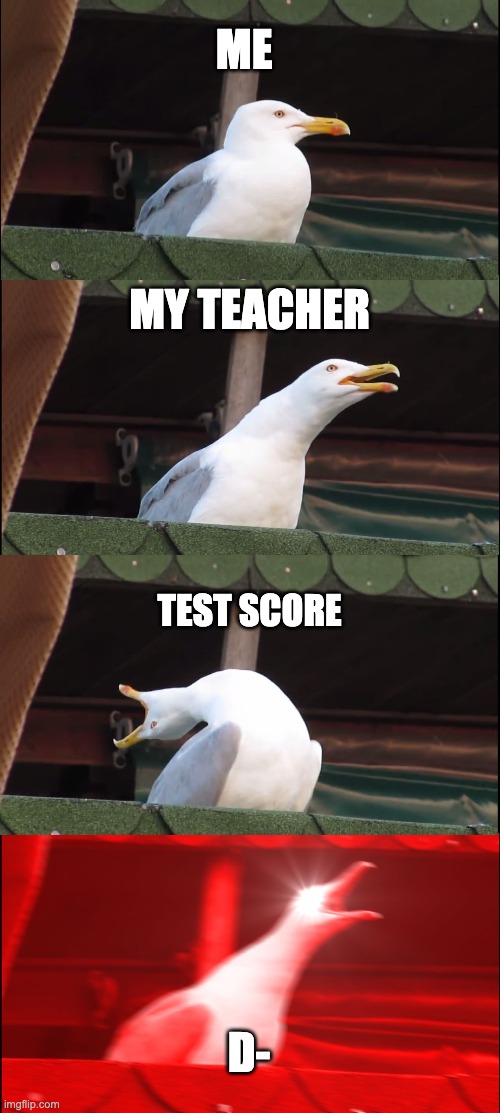 Inhaling Seagull | ME; MY TEACHER; TEST SCORE; D- | image tagged in memes,inhaling seagull | made w/ Imgflip meme maker