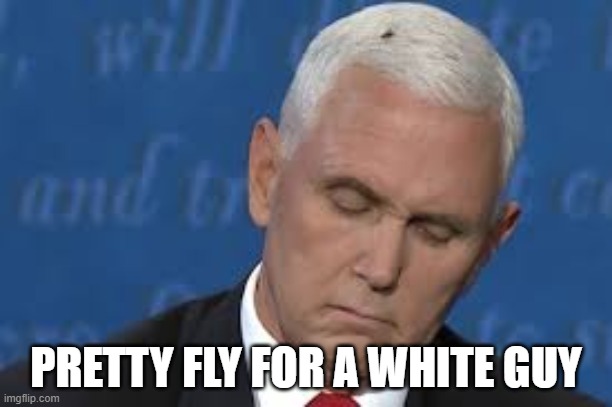 Pretty Fly for a White Guy | PRETTY FLY FOR A WHITE GUY | image tagged in mike pence vp,fly | made w/ Imgflip meme maker