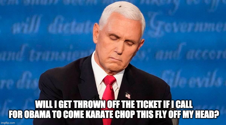 The Dilemma | WILL I GET THROWN OFF THE TICKET IF I CALL FOR OBAMA TO COME KARATE CHOP THIS FLY OFF MY HEAD? | image tagged in mike pence,fly | made w/ Imgflip meme maker