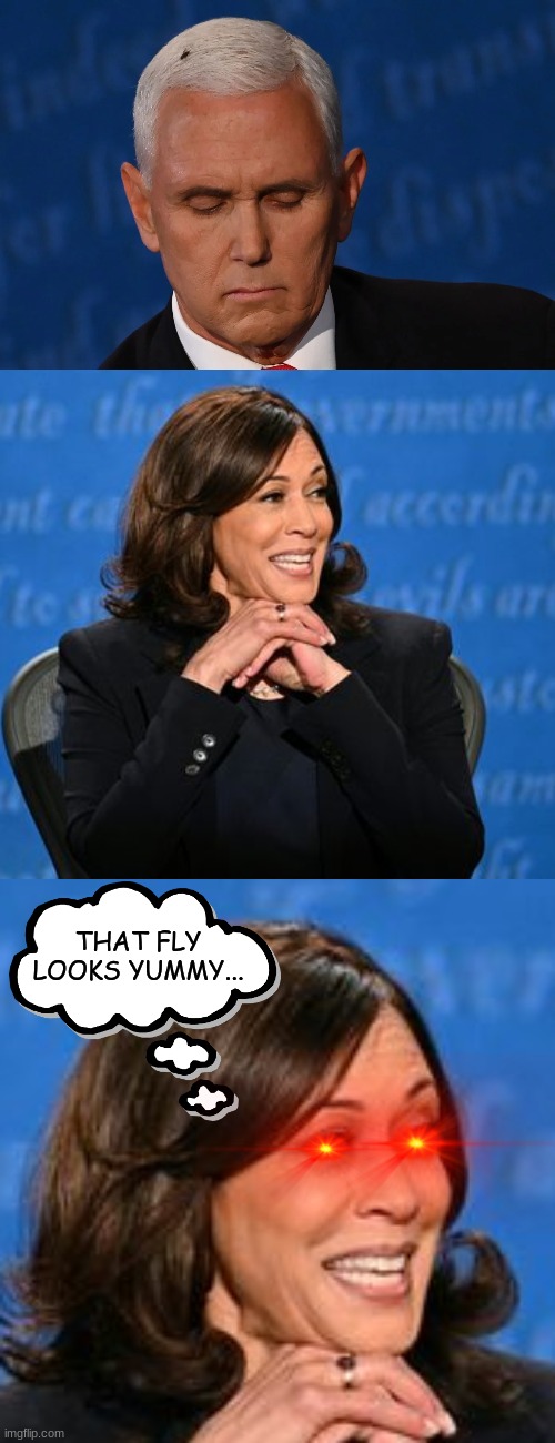 Yummy... | THAT FLY LOOKS YUMMY... | image tagged in politics,fly,mike pence,vice president,kamala harris | made w/ Imgflip meme maker