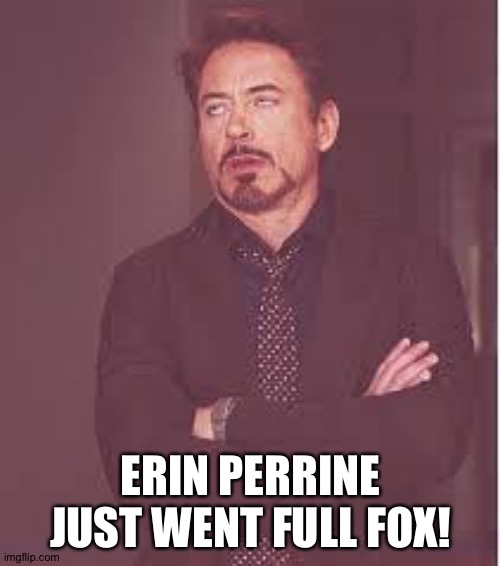tony stark | ERIN PERRINE JUST WENT FULL FOX! | image tagged in tony stark | made w/ Imgflip meme maker