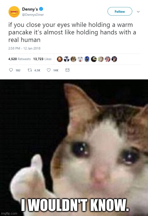 *Cries* | I WOULDN'T KNOW. | image tagged in approved crying cat | made w/ Imgflip meme maker