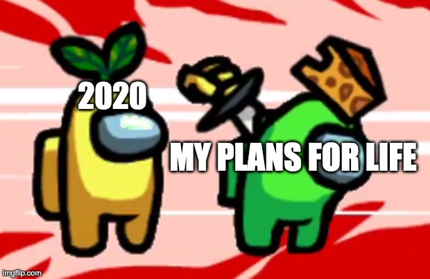 My first meme! | 2020; MY PLANS FOR LIFE | image tagged in among us stab | made w/ Imgflip meme maker