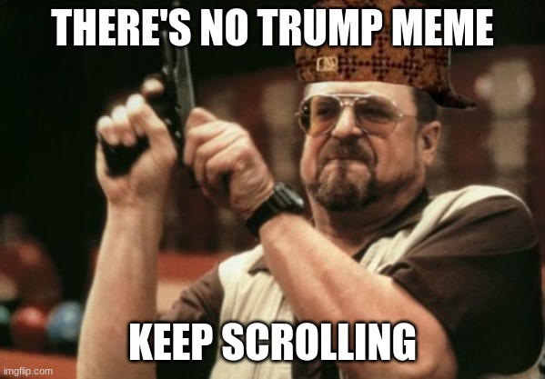 Am I The Only One Around Here | THERE'S NO TRUMP MEME; KEEP SCROLLING | image tagged in memes,am i the only one around here | made w/ Imgflip meme maker