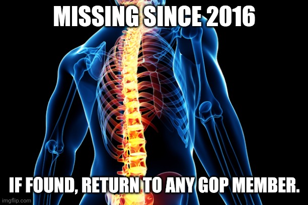 Spine | MISSING SINCE 2016; IF FOUND, RETURN TO ANY GOP MEMBER. | image tagged in spine | made w/ Imgflip meme maker