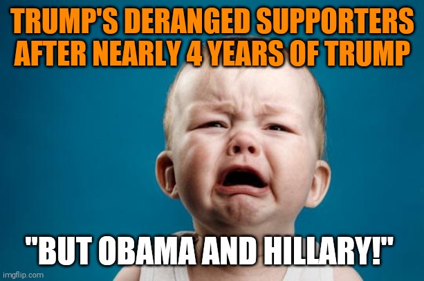 TDS = Trump's deranged supporters | TRUMP'S DERANGED SUPPORTERS AFTER NEARLY 4 YEARS OF TRUMP; "BUT OBAMA AND HILLARY!" | image tagged in memes,trump,supporters,dumb | made w/ Imgflip meme maker