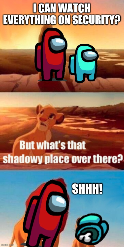 Simba Shadowy Place Meme | I CAN WATCH EVERYTHING ON SECURITY? SHHH! | image tagged in memes,simba shadowy place | made w/ Imgflip meme maker