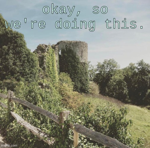 ... | okay, so we're doing this. | image tagged in forest | made w/ Imgflip meme maker