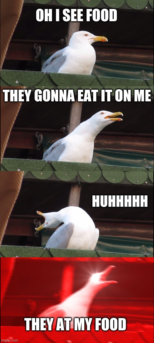 THEY ATE MY FOOD | OH I SEE FOOD; THEY GONNA EAT IT ON ME; HUHHHHH; THEY AT MY FOOD | image tagged in memes,inhaling seagull | made w/ Imgflip meme maker