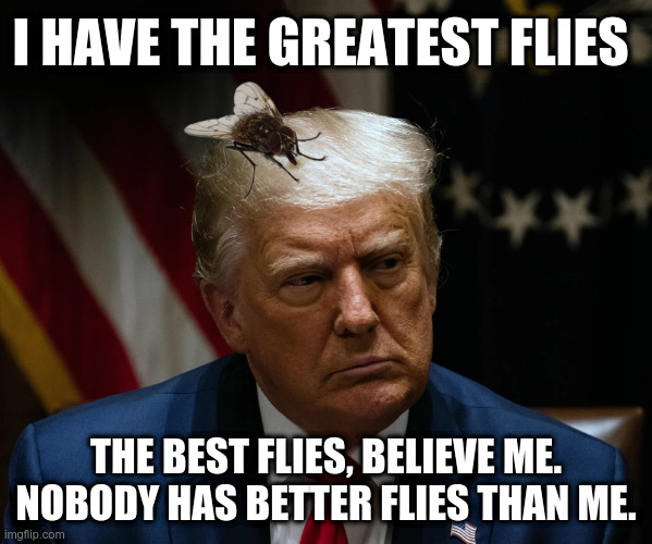 Trump Has the Greatest Flies | I HAVE THE GREATEST FLIES; THE BEST FLIES, BELIEVE ME. NOBODY HAS BETTER FLIES THAN ME. | image tagged in trump,pence's fly,smells like | made w/ Imgflip meme maker