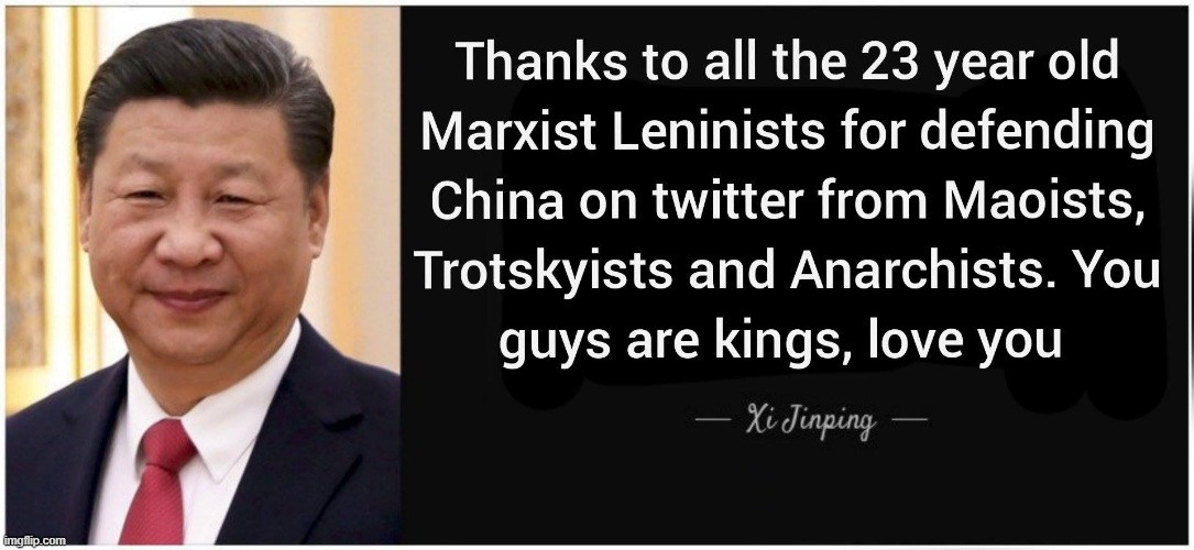 xi jinping approves dumb tankie discourse | image tagged in communist,communists,repost,xi jinping | made w/ Imgflip meme maker