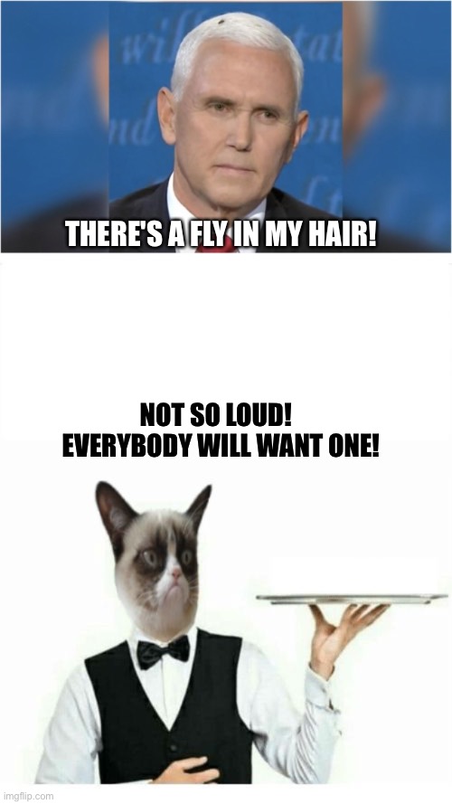 Bad joke time | THERE'S A FLY IN MY HAIR! NOT SO LOUD!  
EVERYBODY WILL WANT ONE! | image tagged in grumpy cat waiter | made w/ Imgflip meme maker