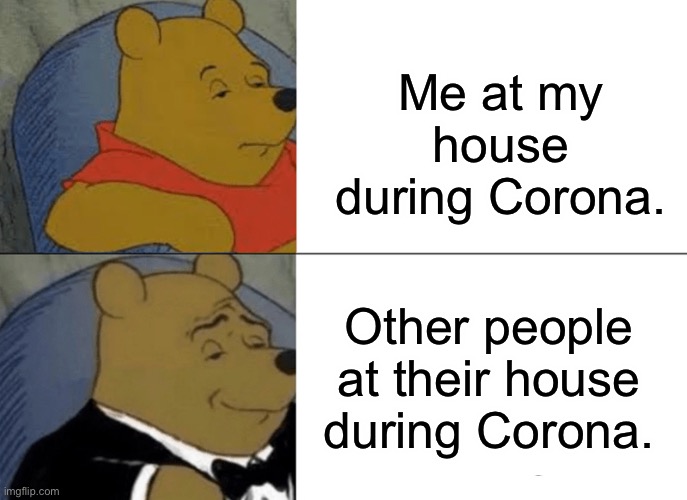 Tuxedo Winnie The Pooh | Me at my house during Corona. Other people at their house during Corona. | image tagged in memes,tuxedo winnie the pooh | made w/ Imgflip meme maker