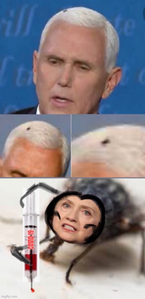 I knew it | image tagged in hillary clinton,mike pence,debate,election 2020 | made w/ Imgflip meme maker
