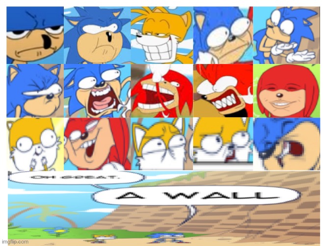 On A Scale On 1 To Sanic, How Sanic Do You Feel? | image tagged in memes | made w/ Imgflip meme maker